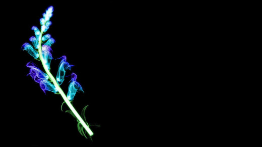 415229 (a): :1920x1080
